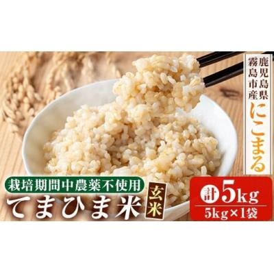 ふるさと納税 霧島市 《令和7年産》てまひま米・玄米(品種:にこまる)(計5kg)【末蜜農園】K-391-B