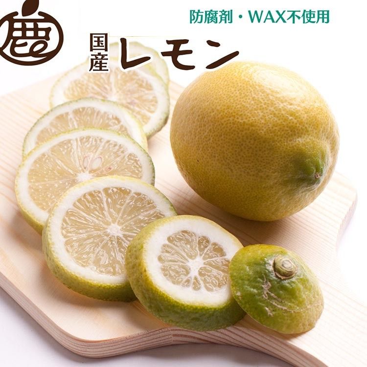 ＜9月より発送＞レモン1kg+250g（傷み補償分）【和歌山有田産】【防腐剤・WAX不使用、安心の国産レモン】 ※北海道・沖縄・離島への配送不可 ※2025年9月中旬～2026年4月下旬頃に順次発送予定