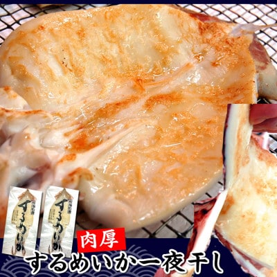 肉厚スルメイカ 一夜干し(大)2枚　個包装 山陰 名産 昔ながらの甘塩するめ 兵庫県新温泉町【配送不可地域：離島】