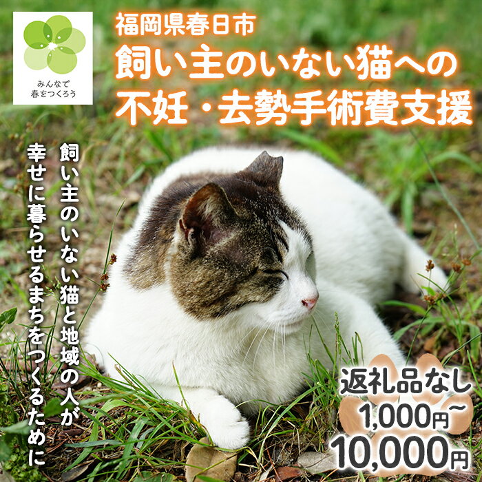 【ふるさと納税】飼い主のいないねこと地域の人が幸せに暮らせるまちづくり支援 (返礼品なし) 猫 ねこ 地域猫 支援 TNR活動 去勢 【ksgsn02・ksgsn07・ksgsn08】【福岡県春日市】