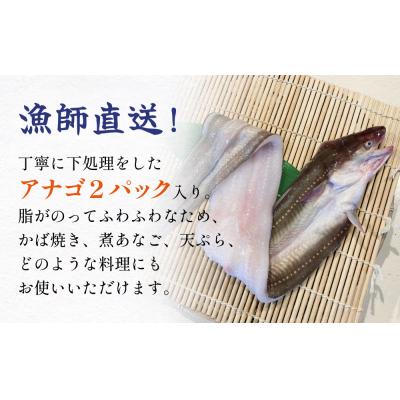 ふるさと納税 石巻市 アナゴ 2パック 穴子 あなご 魚介 魚介類 海鮮 下処理済 直送 新鮮 冷凍 焼き物 煮付け フラ |  | 01
