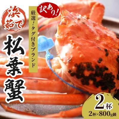 ふるさと納税 京丹後市 ズワイガニ 姿【訳あり!タグ付きブランド蟹】茹で松葉かに　浜茹でにてお届け! 800g級×2杯