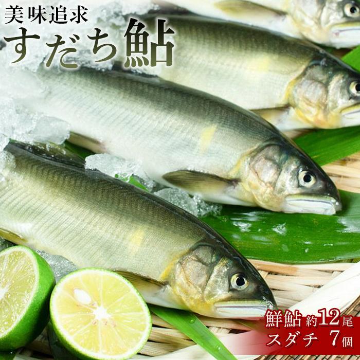 【ふるさと納税】【24年5月より順次発送】数量限定 美味追求すだち鮎（鮮鮎約12尾・スダチ7個）とくしま特選ブランド