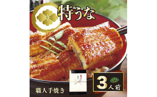 【熨斗あり】うなぎ蒲焼3人前（1人前約100g×3）贈答用パッケージ｜お取り寄せ グルメ 国産 鰻 お歳暮 御歳暮 _AT17
