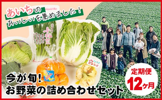 
            【12ヶ月定期便】今が旬！お野菜の詰め合わせセット ／旬野菜 定期便 詰め合わせ 野菜セット 新鮮 冷蔵 春 夏 秋 冬 8〜10種 おまかせ 食材 ボックス 家庭料理 野菜レシピ お取り寄せ 送料無料 愛知県 No.217
          