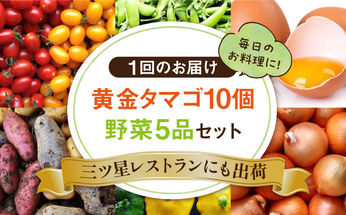 【全6回定期便】糸島の朝産み黄金タマゴ10個 朝どれ新鮮野菜5品 セット【福岡県糸島産】 糸島市 / オーガニックナガミツファーム 玉子 やさい 	[AGE048]