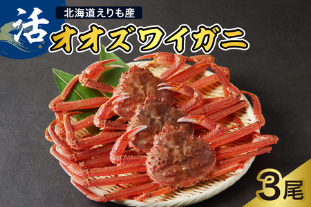 【2026年1月下旬以降発送】活オオズワイガニ3尾【えりも産】【er004-009-e】活 オオズワイガニ 1尾あたり  大ズワイ 大ズワイガニ ズワイガニ ズワイ かに 蟹 魚介 海鮮 新鮮 生 人気 送料無料 国産 道産 北海道産 北海道 えりも産 襟裳