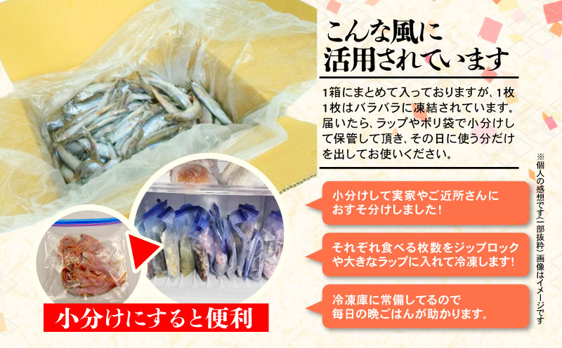 訳あり 干物 ひもの カラフト ししゃも ３kg セット