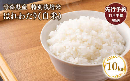 【令和7年産 先行予約   配送時期：2025年11月中旬～】　特別栽培米 はれわたり白米10kg(5㎏×2袋)