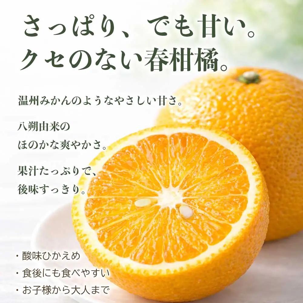 先行予約 訳ありスイートスプリング みかん 約5㎏ 【2027年1月中旬～2027年3月上旬発送予定】