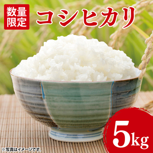 【10月中旬より発送】コシヒカリ5kg【令和7年産新米】【米 おこめ こしひかり 農家直送 直送 茨城県 阿見町】（67-01-1）