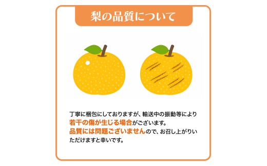 ≪ 種なし ≫ シャインマスカット ・ おまかせ黒ぶどう ・ 秋月 約 1.8kg [よくばりBOX] (茨城県共通返礼品:かすみがうら市) 2026年 マスカット ぶどう 葡萄 ブドウ フルーツ 果