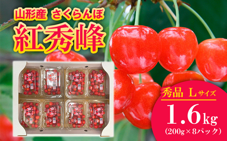 
            さくらんぼ 紅秀峰 Lサイズ以上 1.6kg(200g×8パック) 【令和7年産先行予約】FU20-044 くだもの 果物 フルーツ 山形 山形県 山形市 2025年産
          