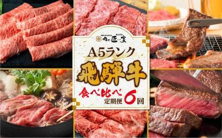 【定期便 6ヶ月】＜全6回＞飛騨牛 食べ比べ（ステーキ／焼肉／すき焼き／しゃぶしゃぶ）| ヒレ ロース ランプ サーロイン もも 霜降り 定期便 牛 和牛 食べ比べ 飛騨牛 ブランド牛 黒毛和牛 お肉 飛騨高山 肉の匠家 BV104