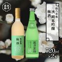 【ふるさと納税】越乃寒梅　浹　純米吟醸 720ml・梅酒 720ml　2本セット　【 日本酒 お酒 晩酌 家飲み 宅飲み 飲み比べ 素直な飲み口 女子会 五百万石 】