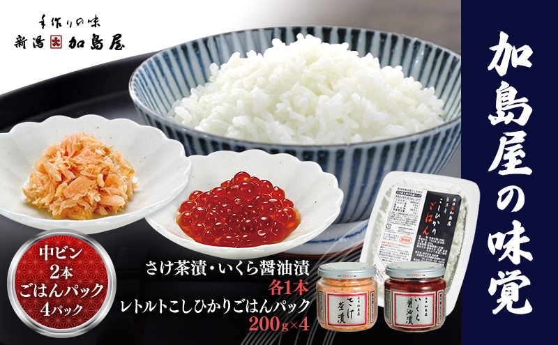 加島屋 中ビン 2本・コシヒカリ ごはんパック セット さけ