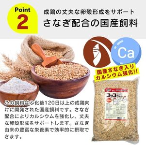 コッコちゃん 成鶏用 さなぎ入 8.5kg_コッコちゃん 成鶏用 飼料 さなぎ入 8.5kg 成鶏 健康維持 さなぎ 配合 産卵 サポート 卵 カルシウム 豊富 国産 原料 タンパク質 ビタミン ミネ