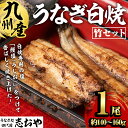 【ふるさと納税】うなぎ処 四代目 志おや 九州産うなぎ 白焼(竹・1本)うなぎ 鰻 ウナギ 国産 九州産 白焼き 調味料付き【109400300】【志おや】