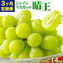 【ふるさと納税】【3ヶ月定期便】ぶどう シャインマスカット 晴王 600g 700g 1.2kg 1.4kg 1房 2房 ハレノフルーツ(アストライ)《7月上旬-9月末頃出荷》岡山県 浅口市 送料無料 フルーツ 果物 マスカット お取り寄せフルーツ【配送不可地域あり】