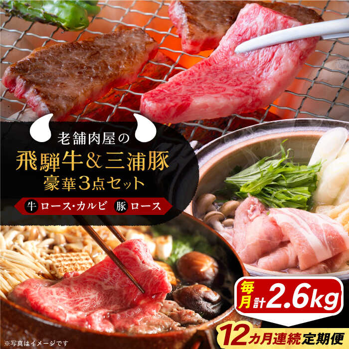 【ふるさと納税】【12回定期便】 牛肉 飛騨牛ロース1kg カルビ700g 三浦豚ロース900g 豪華3点セット 各種類1パック しゃぶしゃぶ・焼肉 和牛 国産 霜降り 肉 にく 牛肉 国産 和牛 産地直送 贈答用 ギフト ブランド牛 岐阜県産 人気 お取り寄せ /恵那市/岩島屋[AUAJ032]