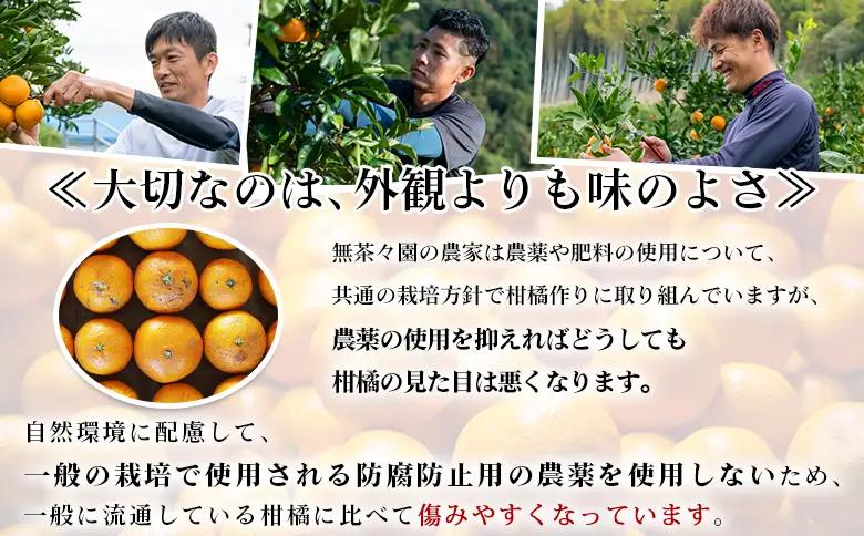 【先行予約】＜無茶々園の伊予柑 約5kg＞ 果物 いよかん イヨカン みかん ミカン 蜜柑 柑橘 フルーツ 期間限定 季節限定 特産品 愛媛県 西予市【常温】『2027年1月中旬～2月中旬に順次出荷予