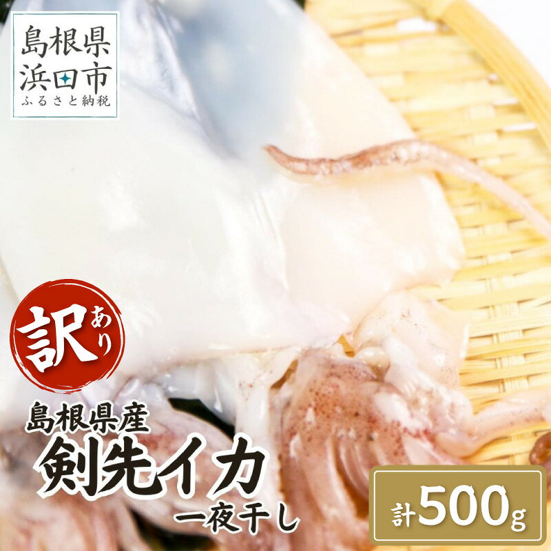 【ふるさと納税】訳あり品でも味は正規品　島根県産剣先イカ一夜干し計500g（5〜10枚） ふるさと納税 イカ 干物 一夜干し 剣先イカ 訳あり 小分け 【005_2078】