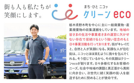 空き家 粗大ゴミ 片付け ハウスクリーニング  チケット【30枚セット】1000円×30枚 計30,000円相当分 有限会社クリーンeco《30日以内に出荷予定(土日祝除く)》  野木町での空き家片付
