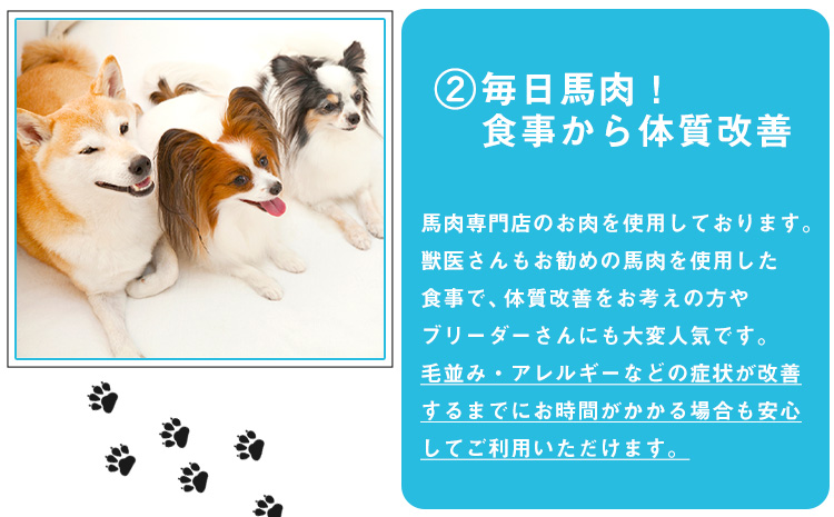 ウチのこのおやつ（馬肉のドッグフード） 長洲町L（桜屋） 《90日以内に出荷予定(土日祝除く)》 ---sn_501dog_90d_22_10000_175g---st-p