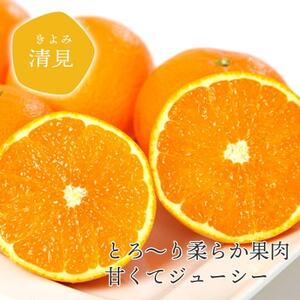 【ご家庭用】清見 4kg 愛媛県 八幡浜市 西宇和地区 柔らかい果肉【D25-364】【配送不可地域：離島】【1716964】