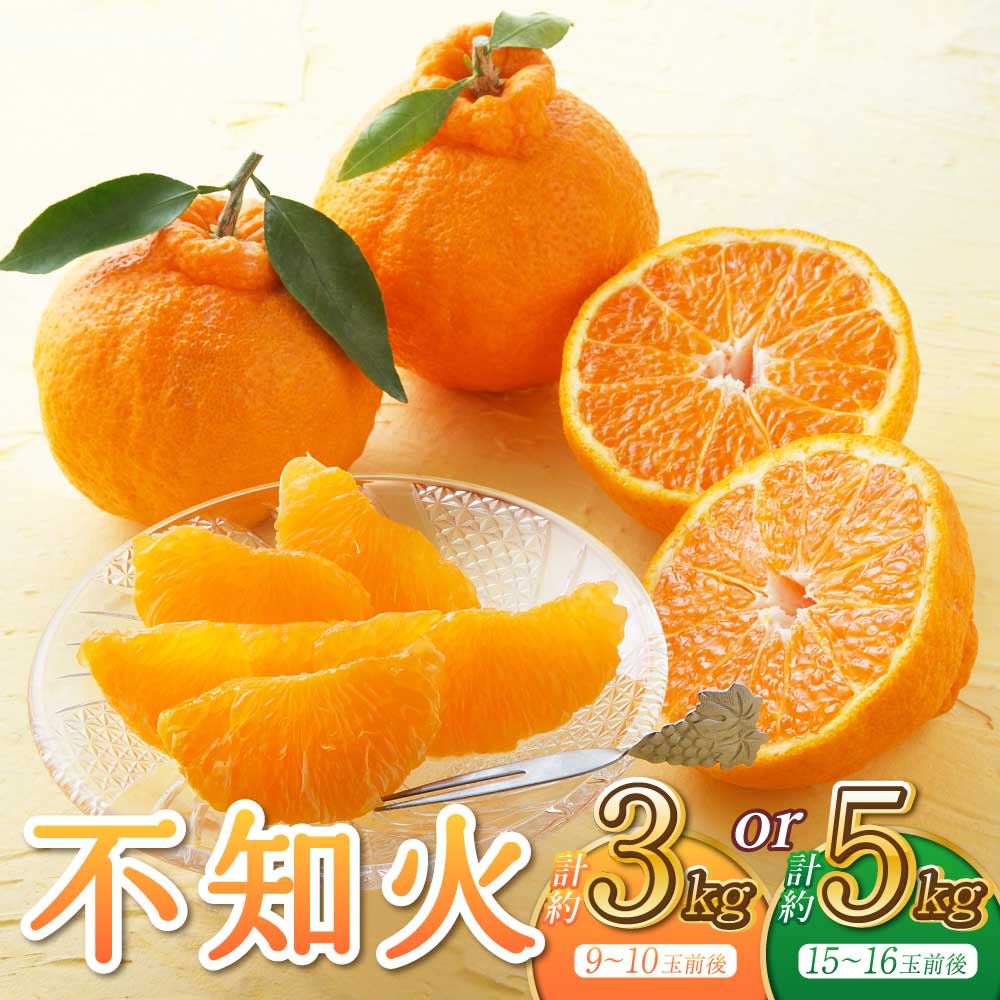 【ふるさと納税】宇城市産 不知火 約3kg 9〜10玉前後 もしくは 約5kg 15〜16玉前後 うちやま果樹園 【2025年3月上旬から6月下旬発送予定】