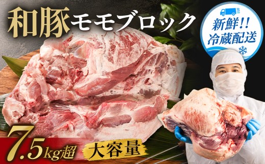 〈訳あり〉 和豚 モモ ブロック (7.5kg) 国産豚肉 煮込み料理 焼き物 炒め物 家庭料理 業務用料理 焼豚 チャーシュー 大容量