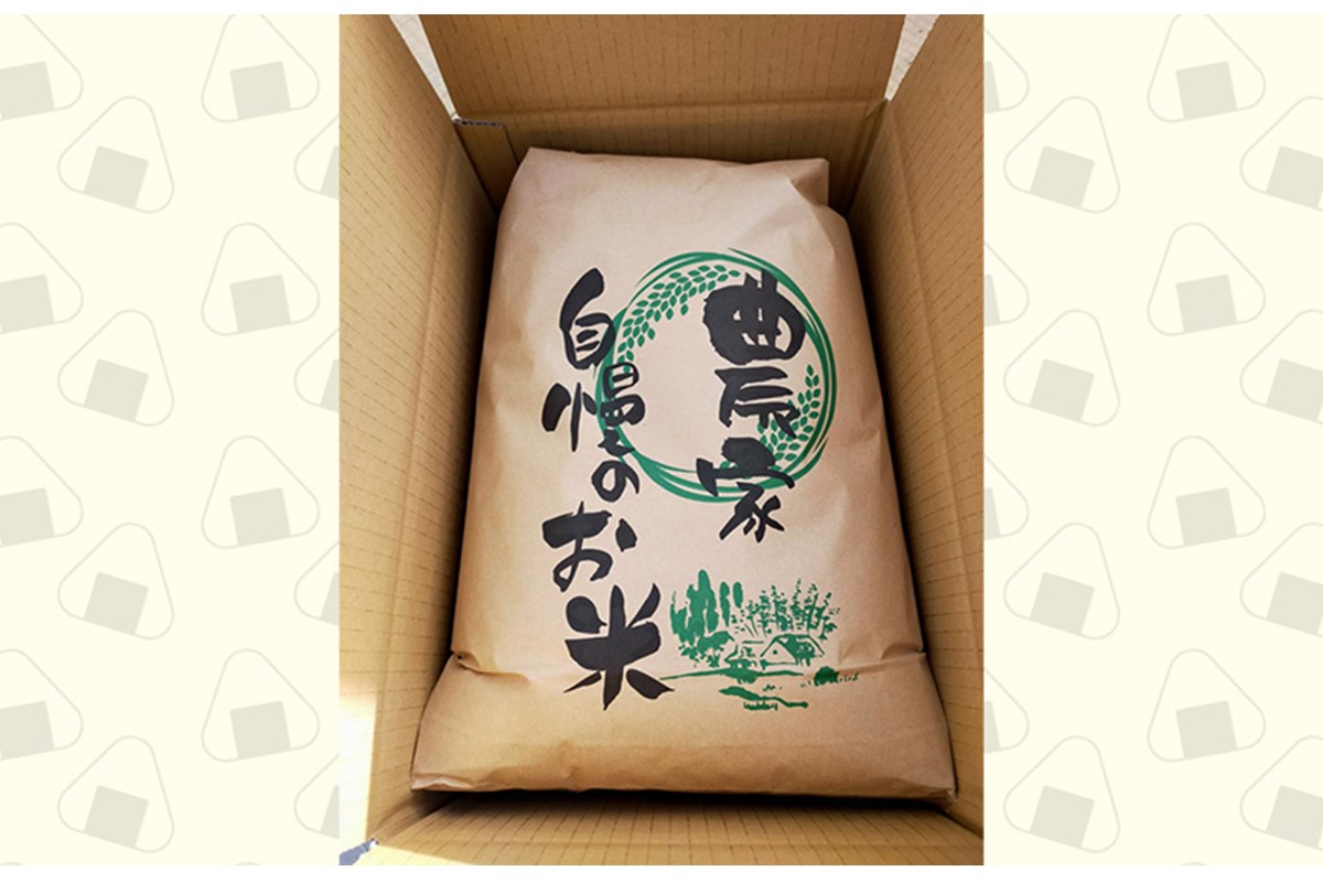 2025年産　京丹後産コシヒカリ 玄米5kg ふるさと納税 米 お米 ご飯 ごはん コシヒカリ 国産 こめ ごはん 京都産 こしひかり 農家応援 生産者応援 送料無料