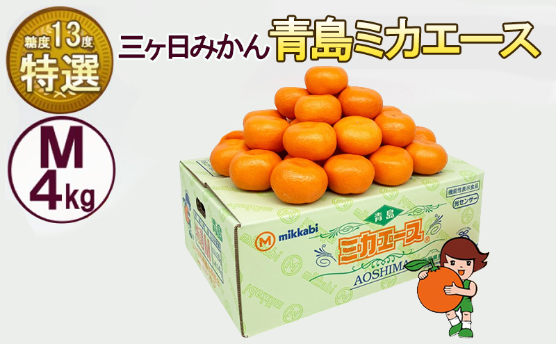 
            三ケ日みかん 青島 【特選 ミカエース】 Mサイズ4kg(36個前後) ミカン 果物 くだもの フルーツ 甘い 静岡県 浜松市 果物類 柑橘類[№5786-5981]
          