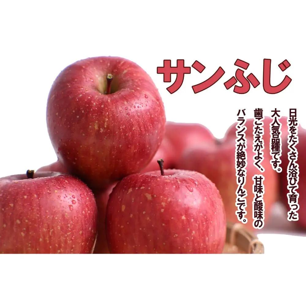 旬のりんご定期便 人気りんご食べ比べ 3回 定期便：シナノスイート（5kg）・王林（5kg）・サンふじ（5kg）【2026年産・先行予約】★2026年10月中旬～1月下旬頃まで発送予定★