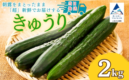 きゅうり 2kg(20本以上) きゅうり 野菜 | 石川県 小松市 JAあぐり