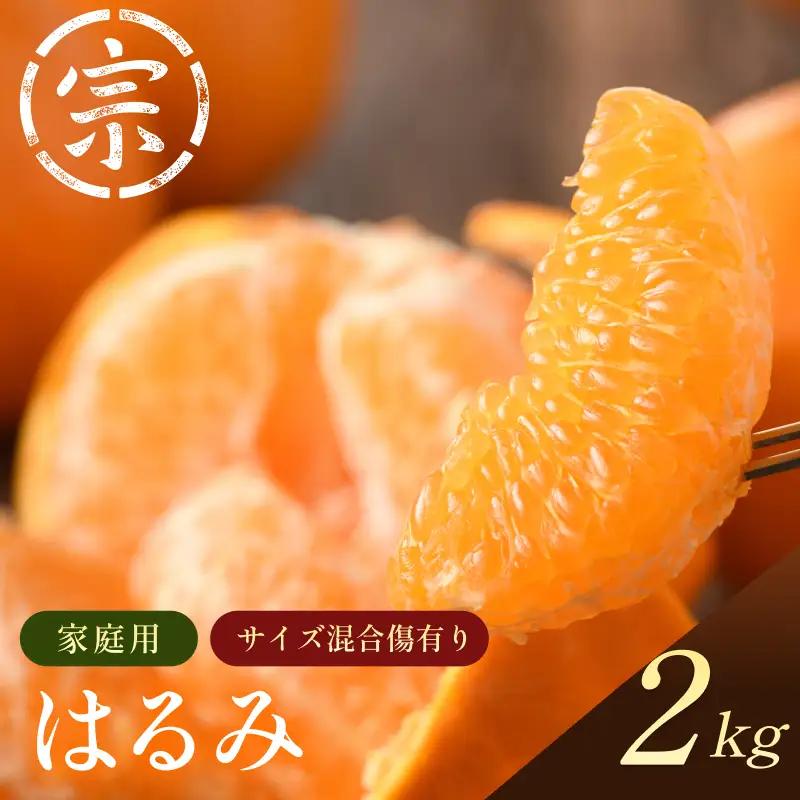 【先行予約】宗方印 はるみ（家庭用）約2kg