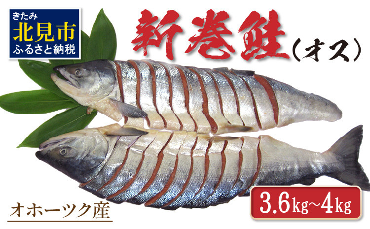 
                  オホーツク産新巻鮭 オス 切身 約3.6～4kg ( さけ サケ 切り身 パック 小分け 真空パック 塩漬け 鮭 ムニエル 甘塩 フライ ホイル焼き ふるさと納税 魚介類 魚 海鮮 )【017-0025】
                