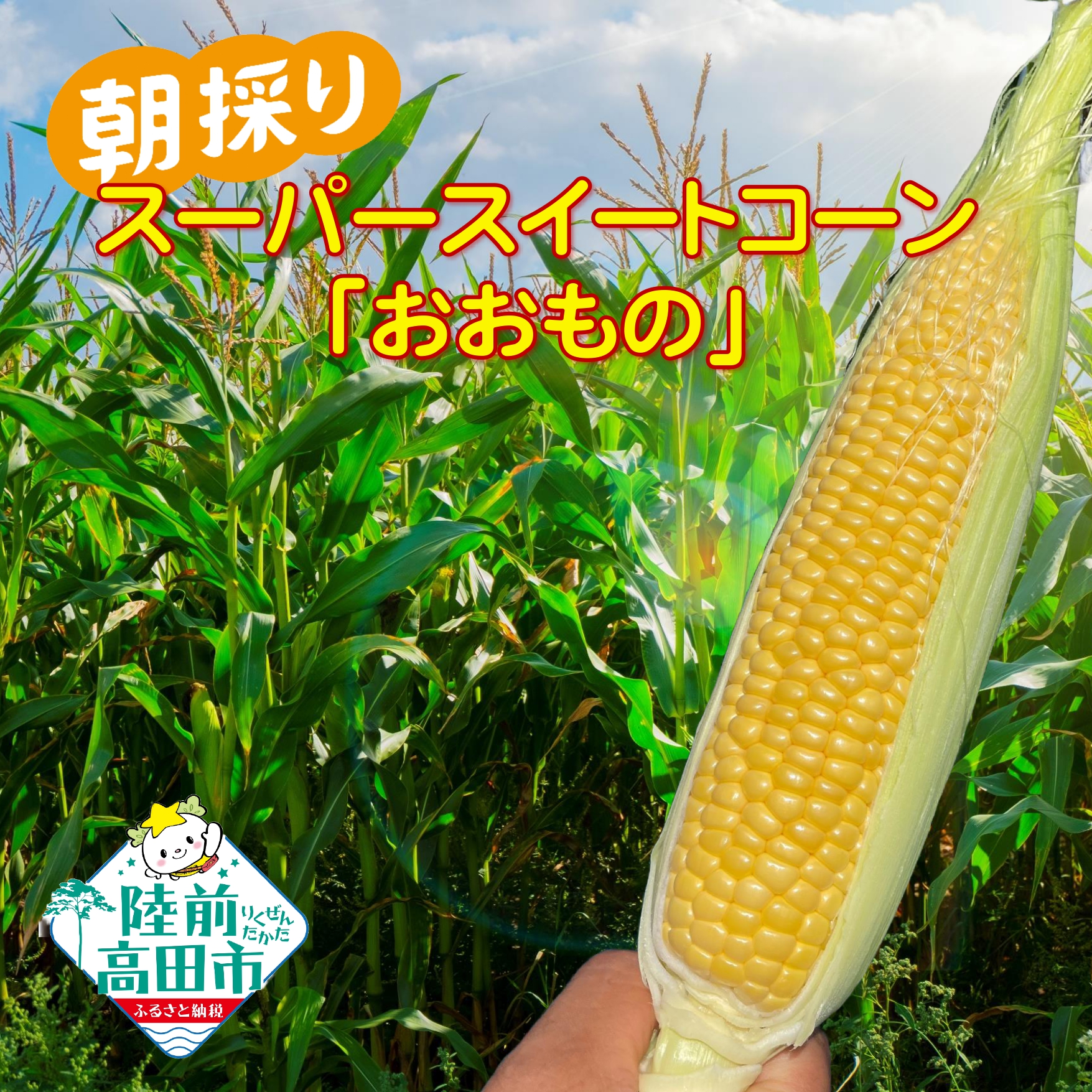 村上さん家の朝採り スーパー スイートコーン 品種：おおもの 約2.5kg ( 6～7本 )【 とうもろこし 夏野菜 コーン サラダ 数量限定 人気 おすすめ 岩手 陸前高田 】 RT2462