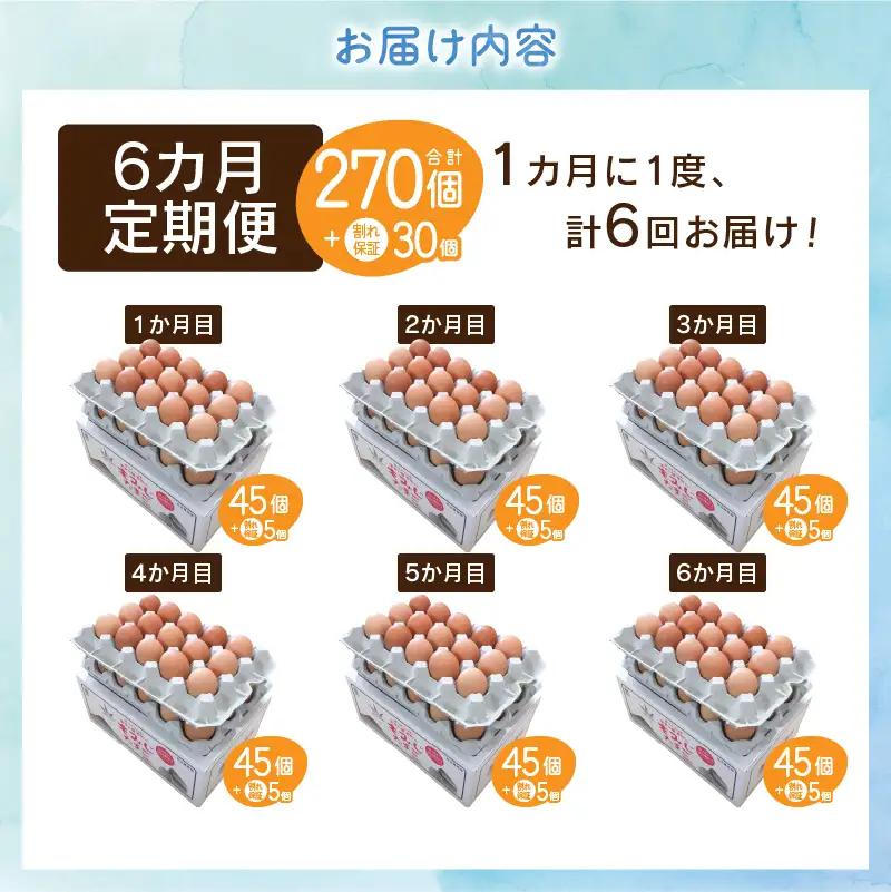 【6ヶ月定期便】”忍野の卵”コクの赤玉50個 卵