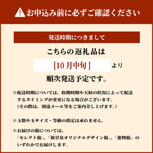 DS-08　王秋梨 5kg