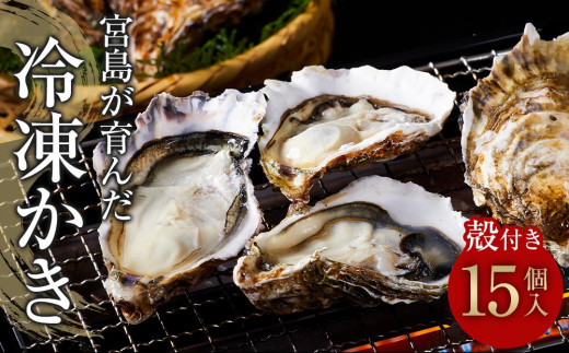 【加熱用】宮島が育んだ冷凍かき(殻付き)15個【牡蠣 広島かき 広島牡蠣 新鮮 旬 広島県 宮島 廿日市市】