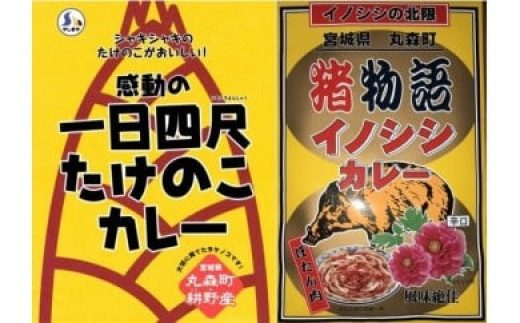 
【丸森町特産】 たけのこカレー2個といのししカレー2個【08111】
