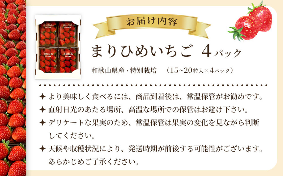 先行予約 まりひめいちご 15～20粒入×4パック 食べやすいひと口サイズ こだわり 農家厳選 ［KG32］