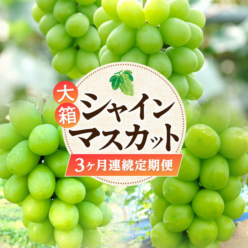 【ふるさと納税】【配送不可地域：北海道・沖縄県・離島】 シャインマスカット 大箱シャインマスカット3ヶ月連続定期便 [ 定期 果物定期便 果物 フルーツ定期便 フルーツ マスカット デザート ブドウ お取り寄せ 香川県 三豊市 ランキング 人気 返礼品 五色青果 ]