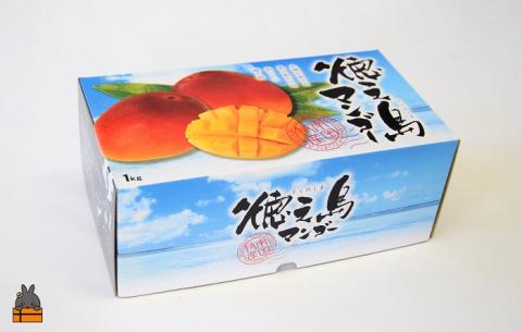 《先行予約》徳之島センチュリー果樹園さんの完熟マンゴー（1㎏）　( マンゴー フルーツ 果物 完熟 無加温 徳之島 世界自然遺産 美味しい とろける 旬 贅沢 糖度 南の島 )