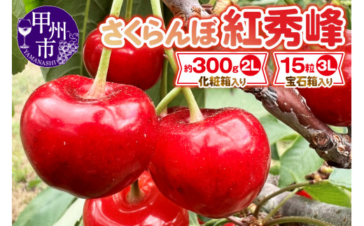 山梨県産 さくらんぼ 紅秀峰 (2Lサイズ並べ & 3Lサイズ15粒 セット)【2024年発送】（DOM）C-142