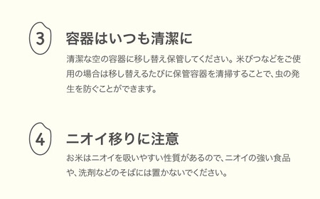 【先行予約】 新米 米 はえぬき 毎月定期便 10kg×3回 無洗米 令和7年産 2025年産 ja-hamxa10_tm