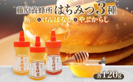 藤原黄金蜂蜜 3種セット 栃 けんぽなし やぶからし 各120g 計360g はちみつ とち 国産 単花蜜 朝しぼり 完熟 ハチミツ パン 菓子 トースト ホットケーキ ヨーグルト 調味料 お取り寄せ ポリ容器 常温 常備 送料無料 藤原養蜂場 岩手県 盛岡市
