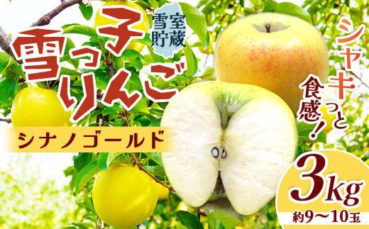 【数量限定 2026年 4月発送 予約受付 】雪っ子 りんご 熟成 シナノゴールド 3kg 数量限定 リンゴ 林檎 果物 フルーツ 果実 贈答 おすそ分け シェア 雪室貯蔵 雪っ子りんご 東北 岩手 土産 展勝地 桜の名所 岩手県 D0479