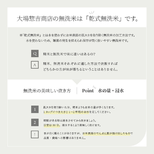 【5月下旬発送】つや姫 10kg 令和7年産 山形県産 無洗米 ※沖縄・離島への配送不可 ob-tsxxx10-m5c